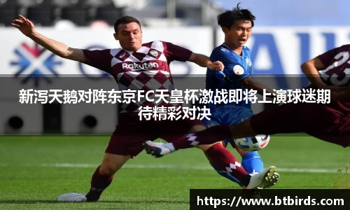 易彩堂官方网站